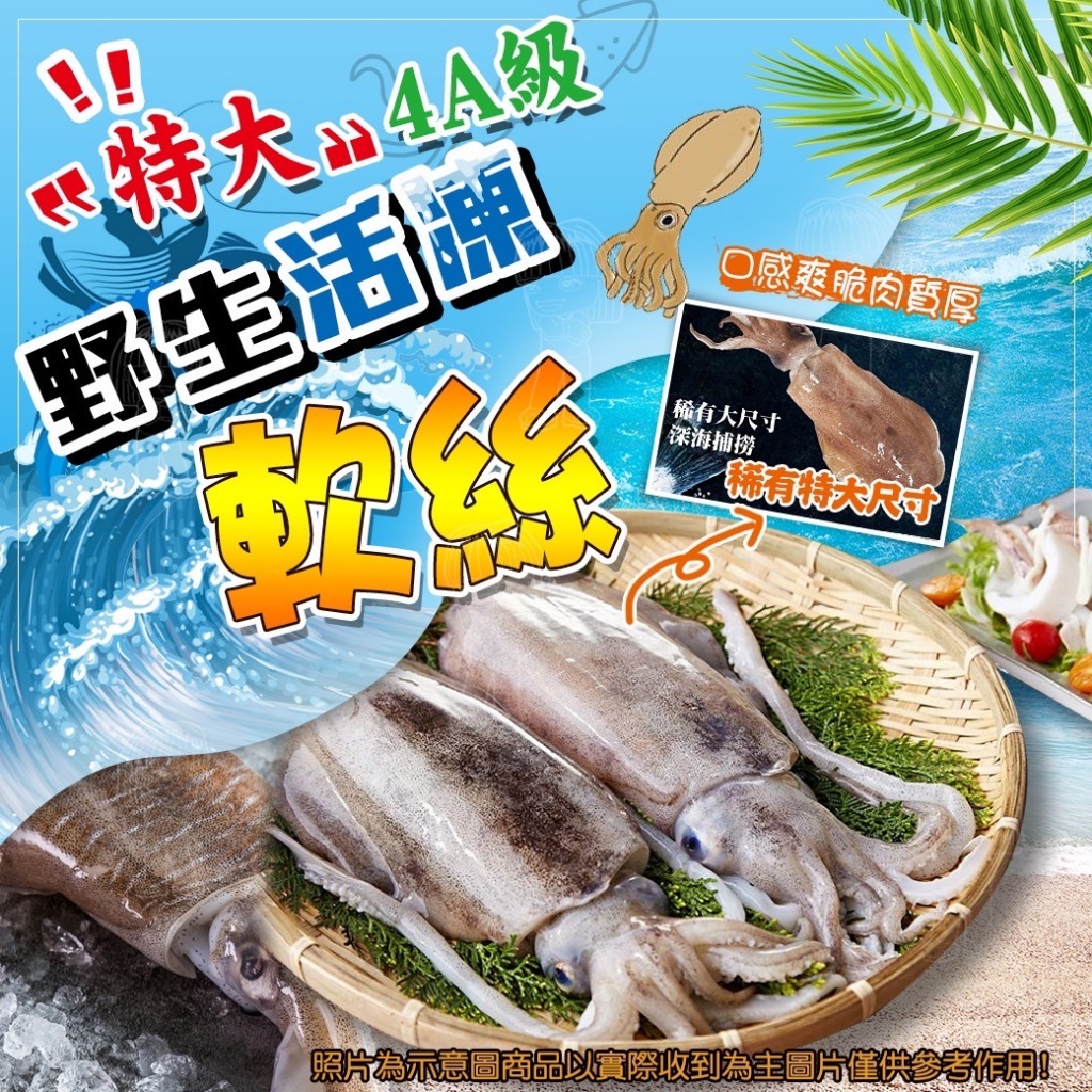 特大4A級野生活凍軟絲[400-500g±10%/隻]