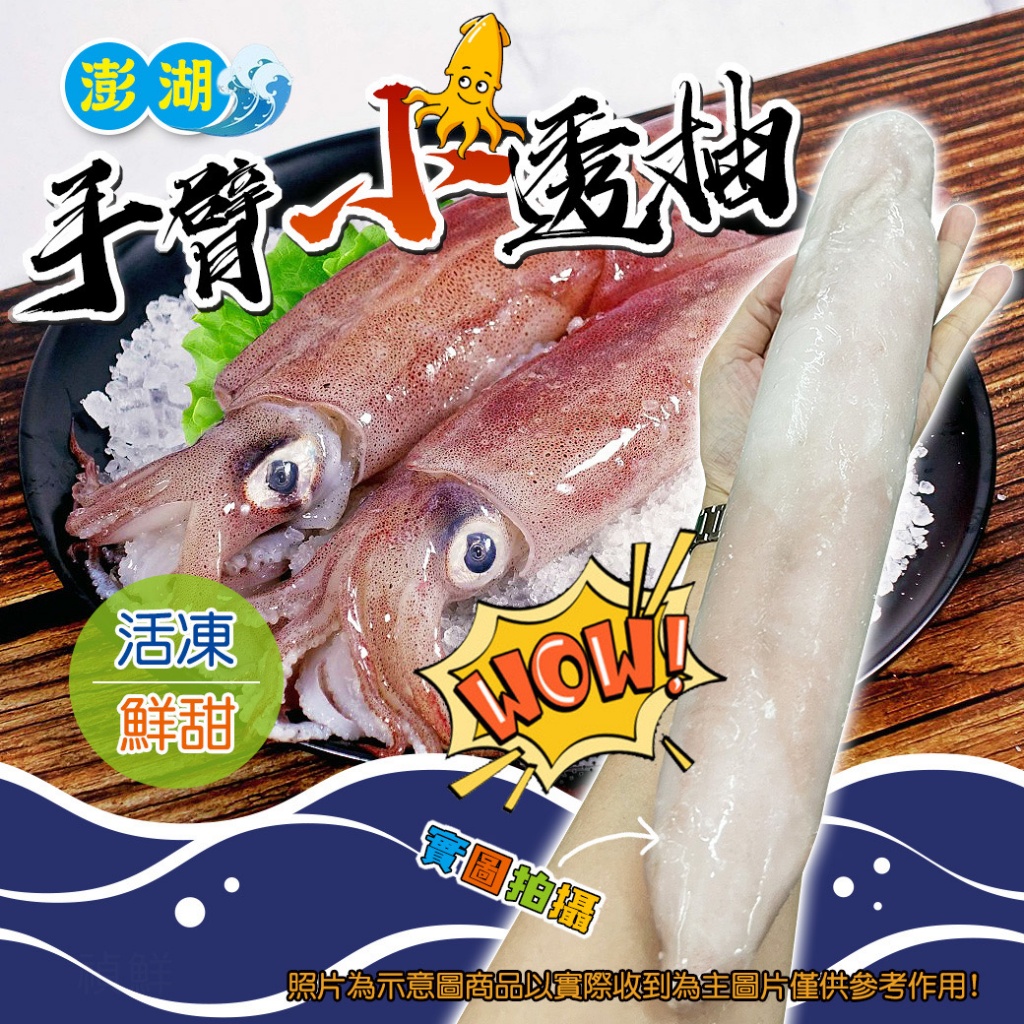 [冷凍]澎湖手臂小透抽[300-500g/隻]
